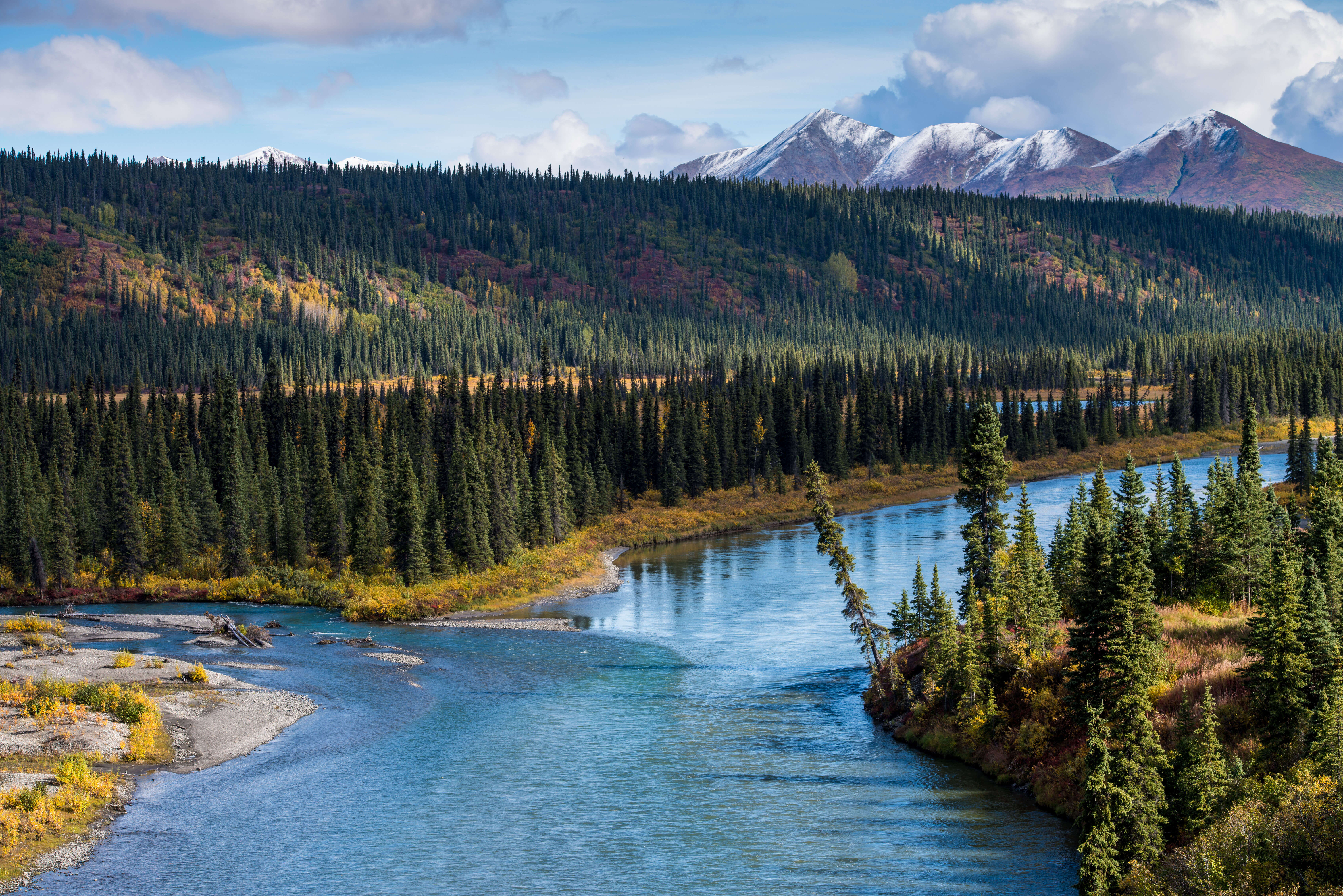 Boreal Forest