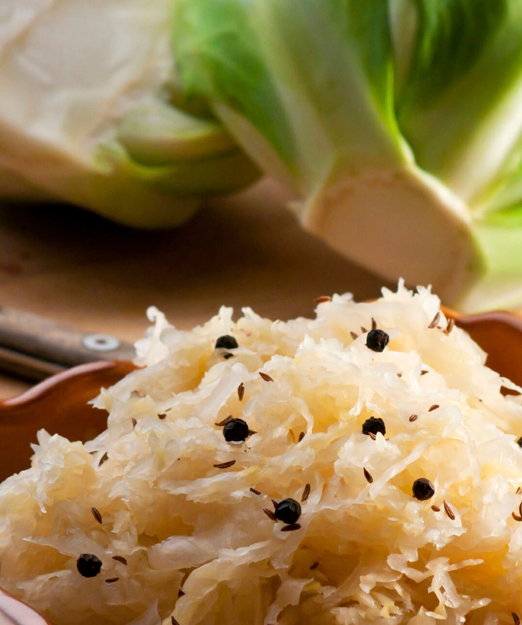 Unlock the Power  of Fermented Foods!