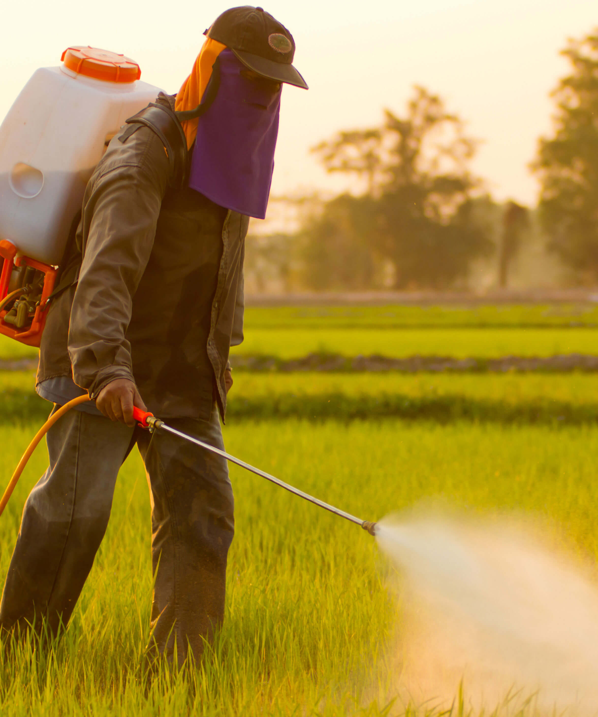 Glyphosate, a Controversial Chemical with Systemic Implications