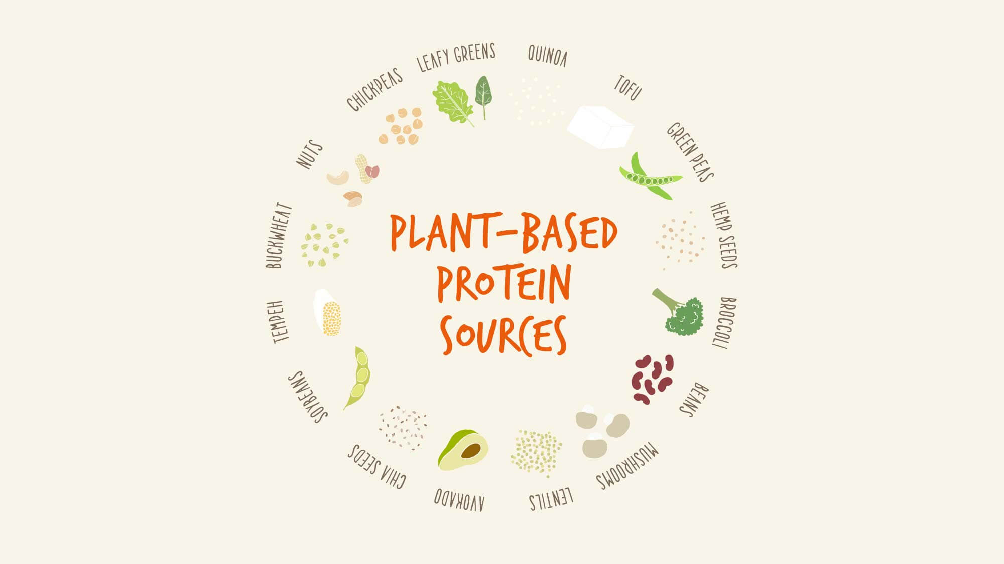 plant based protein