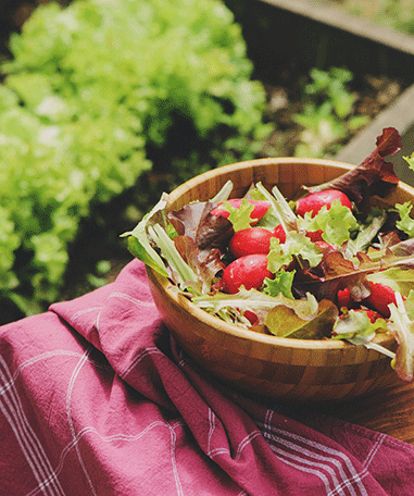 Fresh Spring Salad