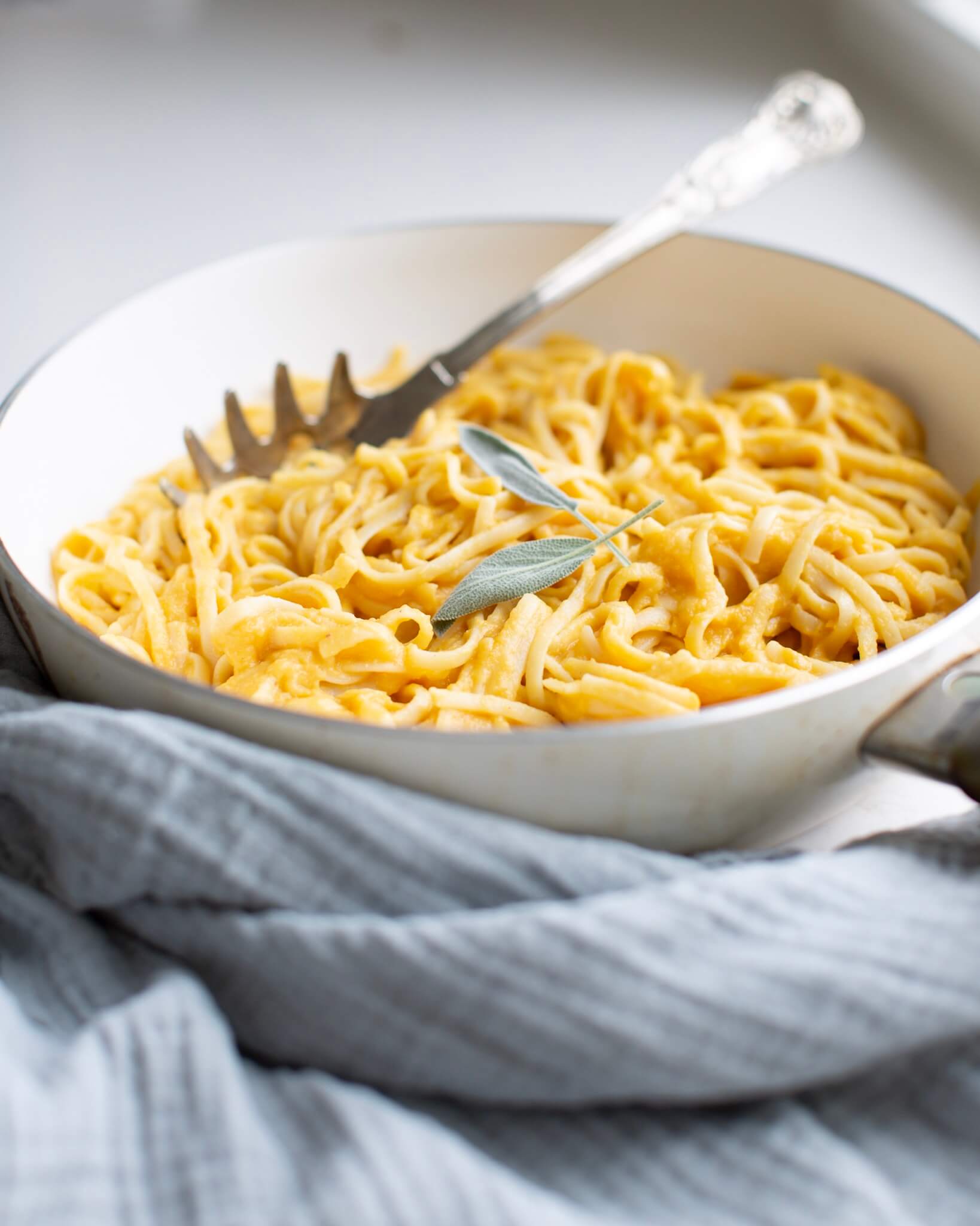 Butternut Squash Alfredo 