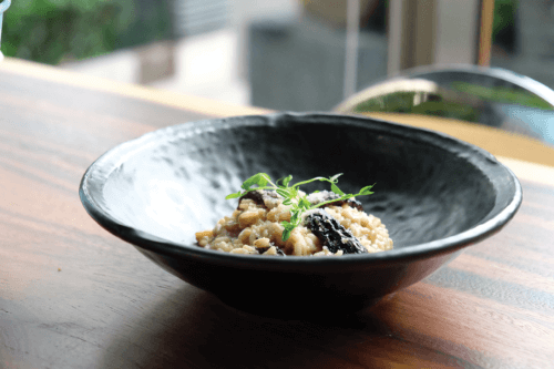 Morel Mushroom Risotto