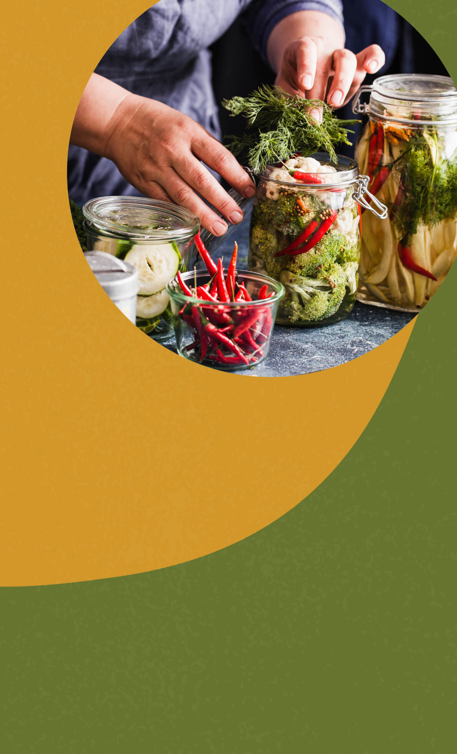 Let’s Talk Gut Health