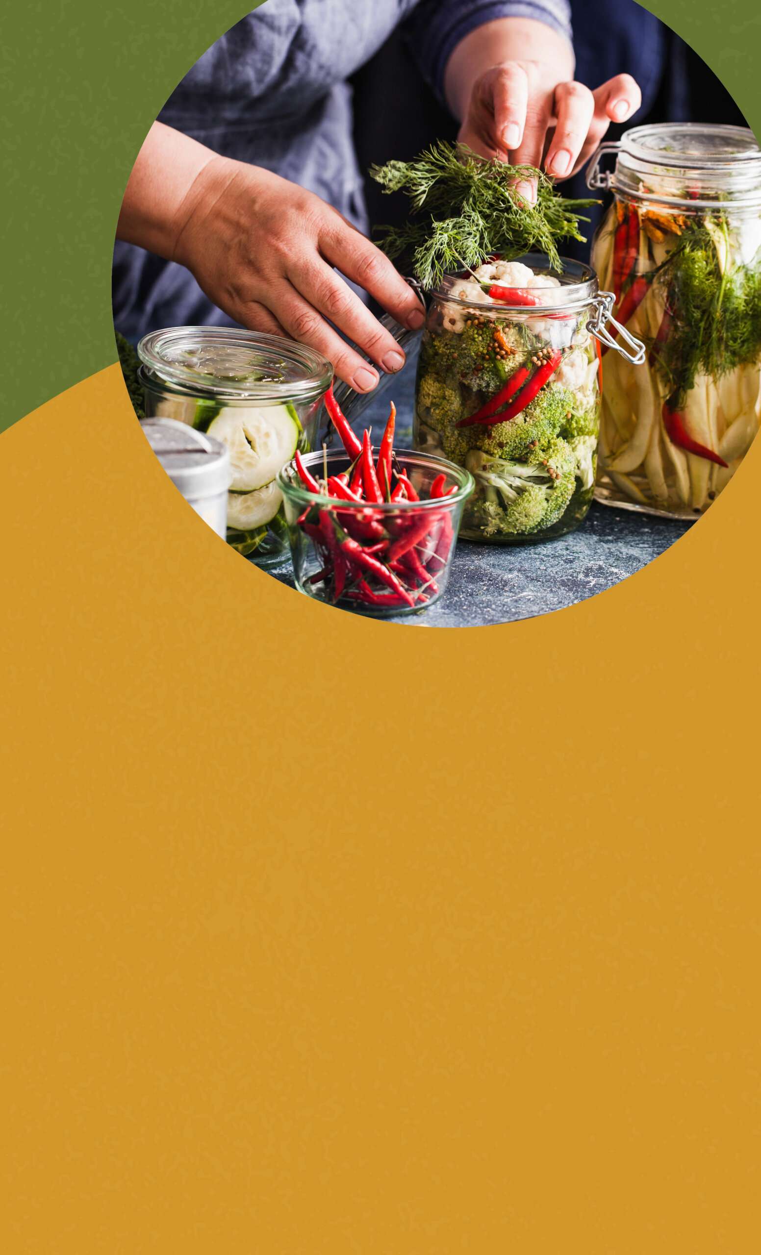 Let’s Talk Gut Health